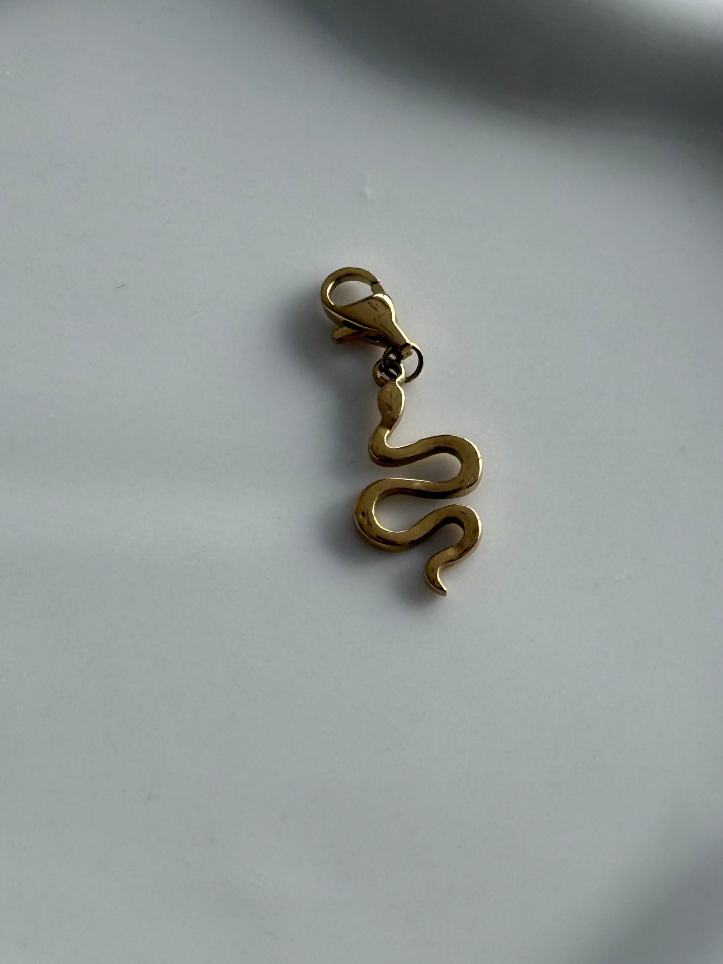 Charms serpent